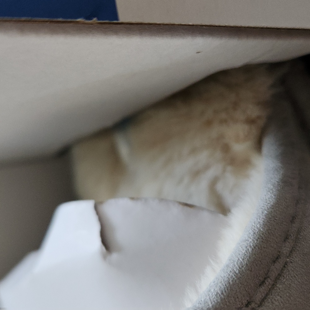 Nestwell SALE $10 - Picture 6 of 6